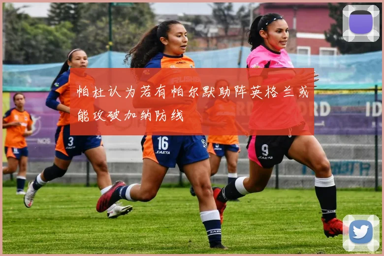 帕杜认为若有帕尔默助阵英格兰或能攻破加纳防线