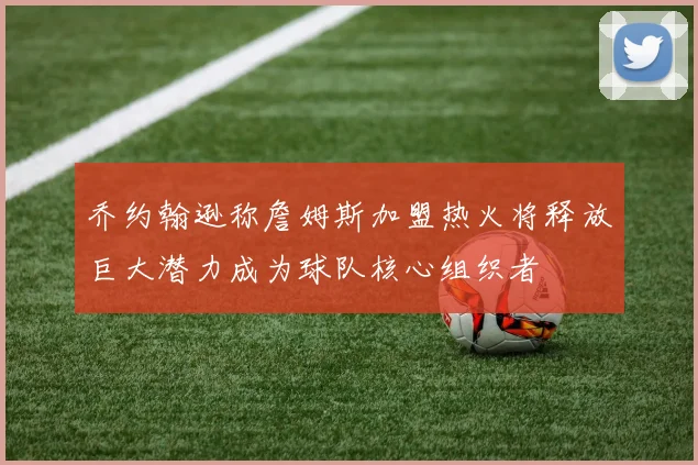 乔约翰逊称詹姆斯加盟热火将释放巨大潜力成为球队核心组织者