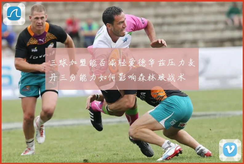 三球加盟能否减轻爱德华兹压力麦丹三分能力如何影响森林狼战术
