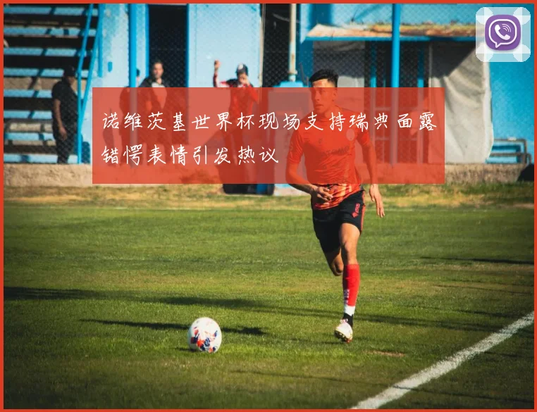 诺维茨基世界杯现场支持瑞典面露错愕表情引发热议